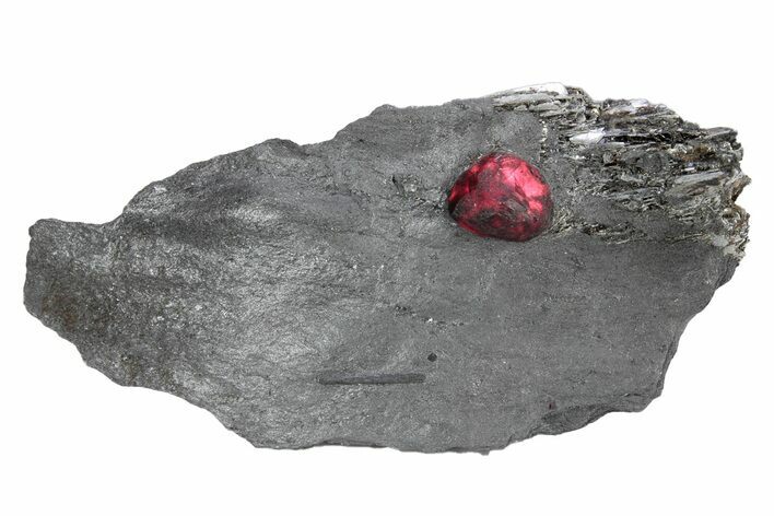 Red Embers Garnet in Graphite - Massachusetts #301119